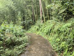 -磐安十八涡风景区