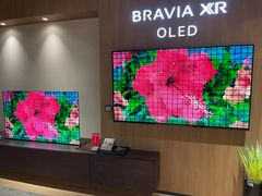 -Sony Store索尼(广州正佳店)