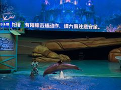 -海合安武汉极地海洋公园