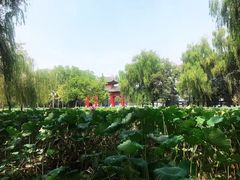 -四川大学(望江校区)