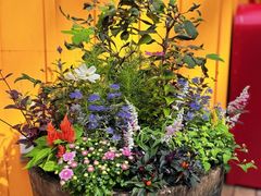 -三鹰之森吉卜力美术馆