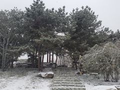 -丰台花园