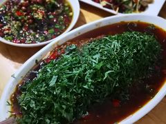 -老字号怡玺·藿香雅鱼(20年雅安店)