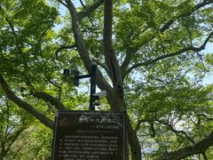 -幕燕滨江·燕子矶公园