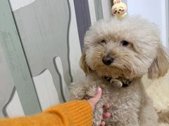 -听TA说宠咖·宠物生活馆(天韵水岸店)