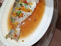 -湖北三五醇酒店·35年新楚菜