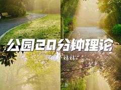 -桃花岛景观公园