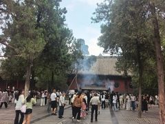 -洛阳白马寺