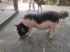 -珠海海泉湾神秘岛亲子乐园