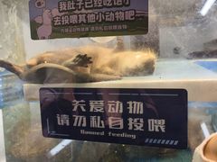 -大连圣亚海洋世界