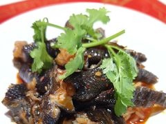 -禄鼎记·多口味酸菜鱼(侨鑫店)