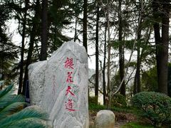 -武汉大学-樱园