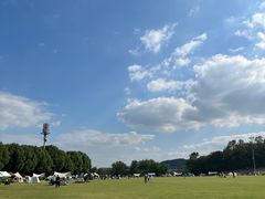 -羊山湖公园