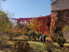 -辽宁大学(崇山校区)