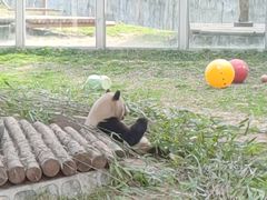-西安秦岭野生动物园