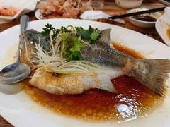 -东鸽皇(奥园·中环广场店)