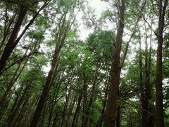 -同里国家湿地公园