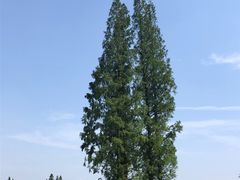-良渚古城遗址公园