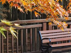 -青山湖景区