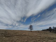 -芦芽山旅游度假区