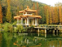 -深圳仙湖植物园