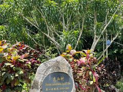 -中国科学院西双版纳热带植物园