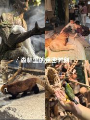 -Zoolung Zoolung动物主题公园(海信广场店)