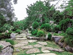 -东莞植物园