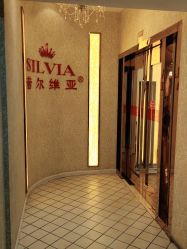 -茜尔维亚修身连锁(庆春银泰店)