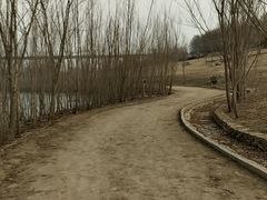 -永定河休闲森林公园