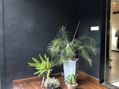 -Willing·Coffee&Brunch&Dinner(万达店)