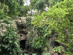 -北京植物园-展览温室