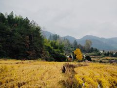 -黟县屏山村
