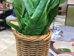 -羊来顺冰煮鲜羊铁锅烀羊肉(八卦岭店)