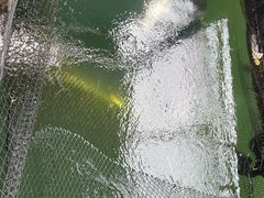 -蓝湾碧波·老字号·疍家非遗海上餐厅