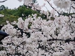 -临平公园(临平街道)