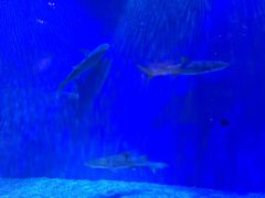 景点-华夏文旅西安度假区