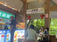-西双版纳原始森林公园