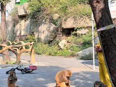 -洛阳花果山景区