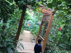 -呀路古热带植物园