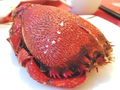 -OPEN開全日自助餐厅·牛肉火锅·海鲜(佛山希尔顿酒店)