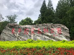 -东平国家森林公园