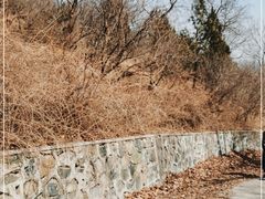 -鹫峰国家森林公园