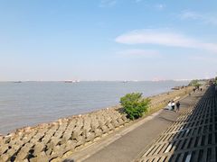 -上海滨江森林公园