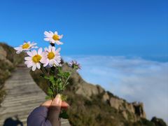 -白草畔自然风景区
