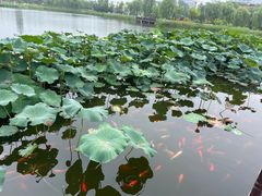 -西海子公园