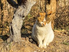 -南京市江宁方山