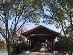 -长广溪湿地公园