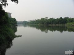 -小洲村