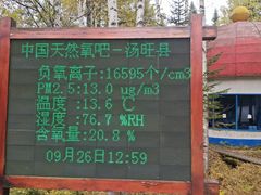 -汤旺河林海奇石景区